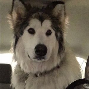 Meet your Posher, Terry